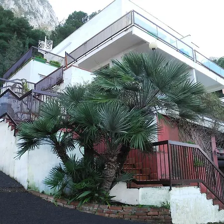 Addaura Mozzafiato *